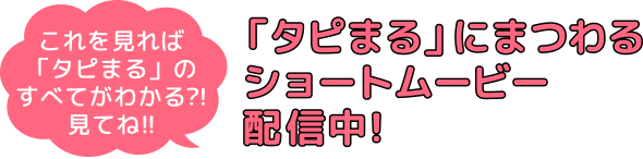 タピまるにまつわるショートムービー配信中！